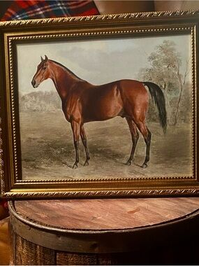 Kentucky Woodpecker Horse Framed Equestrian Art Gold Frame
